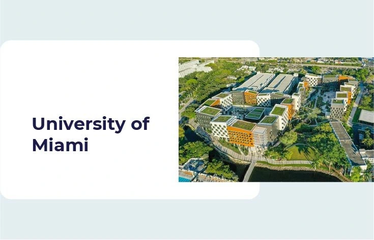 Top Miami MBA Programs - MBA & Beyond