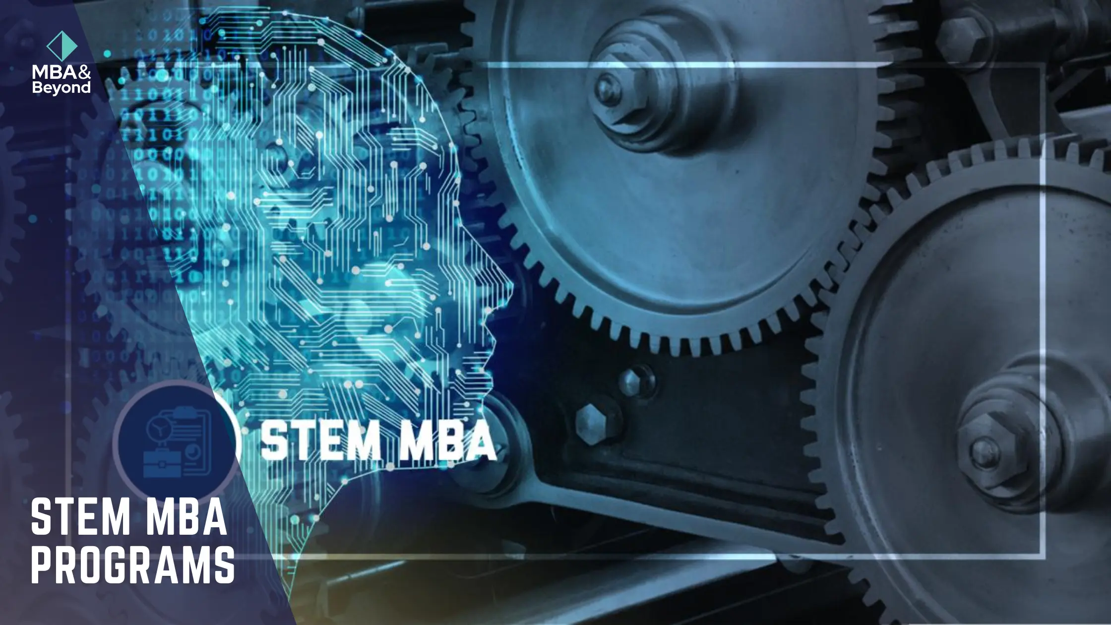 1 year stem mba programs in usa